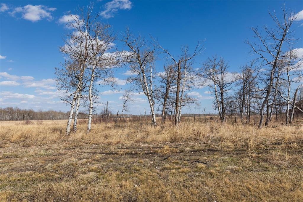 272 Matte Drive, Kleefeld, Manitoba